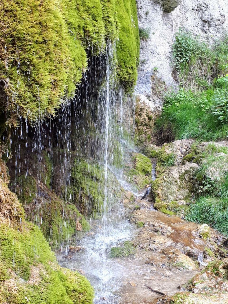 Herberg Die Alte Schleuse ماندرشايد المظهر الخارجي الصورة
